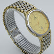 Laden Sie das Bild in den Galerie-Viewer, Escape Herrn Uhr Stahl &amp; Gold 24K 10Mic Gold Plated Swiss Quarz
