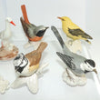 Laden Sie das Bild in den Galerie-Viewer, Sammlung 7 Göbel Porzellanvögel made in Germany
